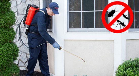Erciş Hamam Böceği İlaçlama böcek ilaçlama ve haşere kontrolü — ilaclama-tr.com